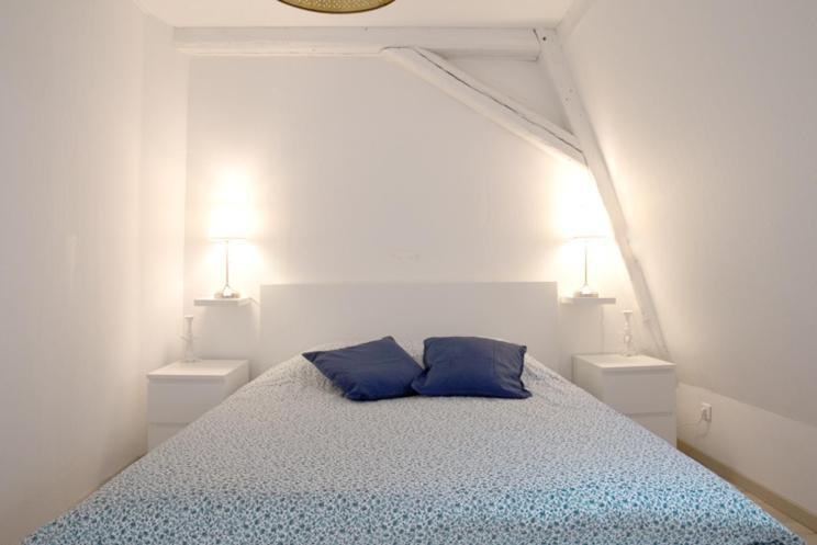 Petite Venise Grand Duplex Turenne Hyper Centre Кольмар Екстер'єр фото