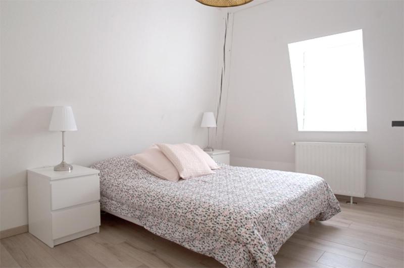 Petite Venise Grand Duplex Turenne Hyper Centre Кольмар Екстер'єр фото