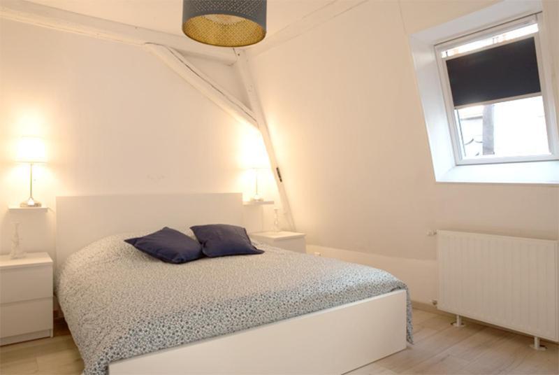 Petite Venise Grand Duplex Turenne Hyper Centre Кольмар Екстер'єр фото
